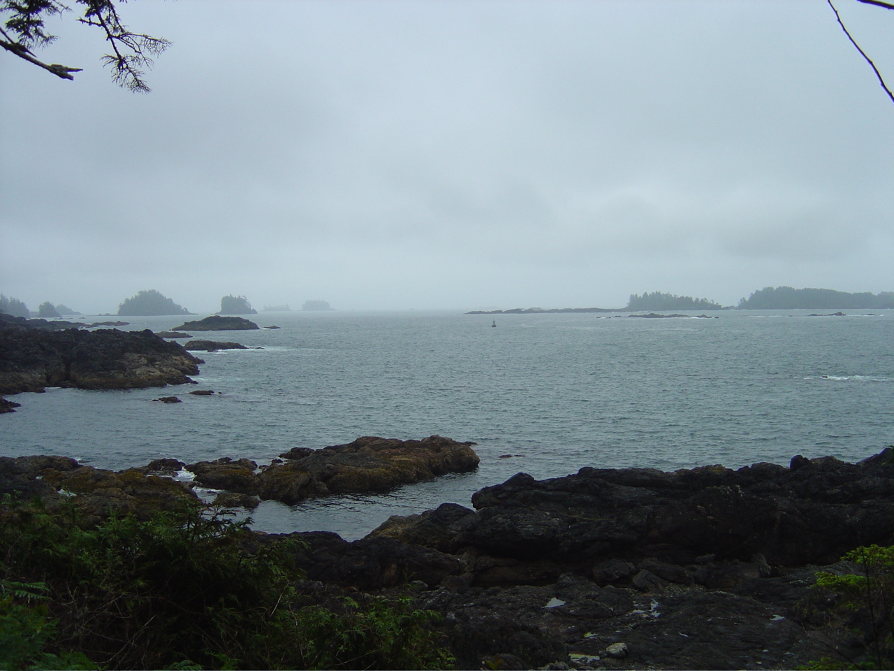 DSC00957.JPG