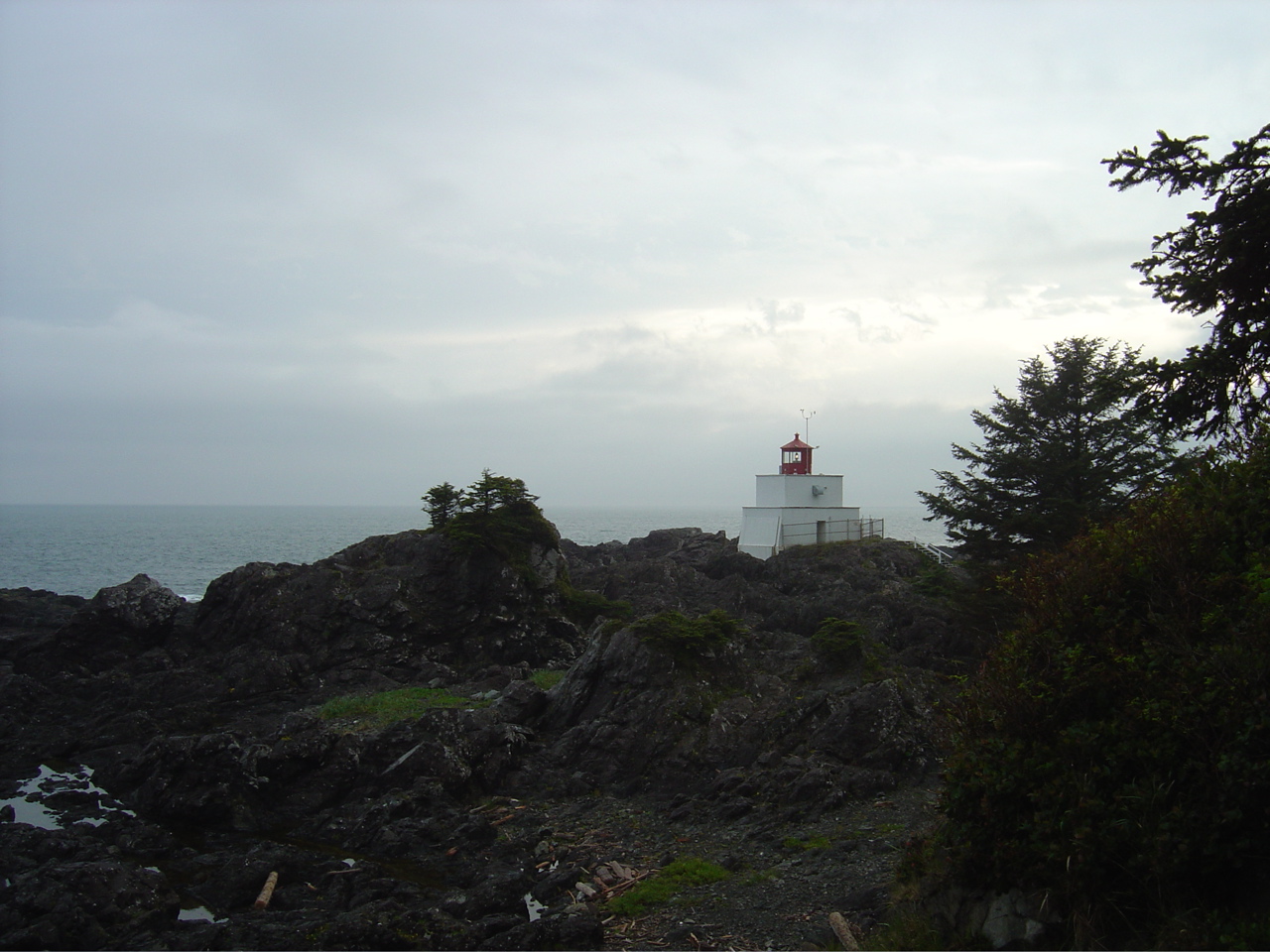 DSC00959.JPG