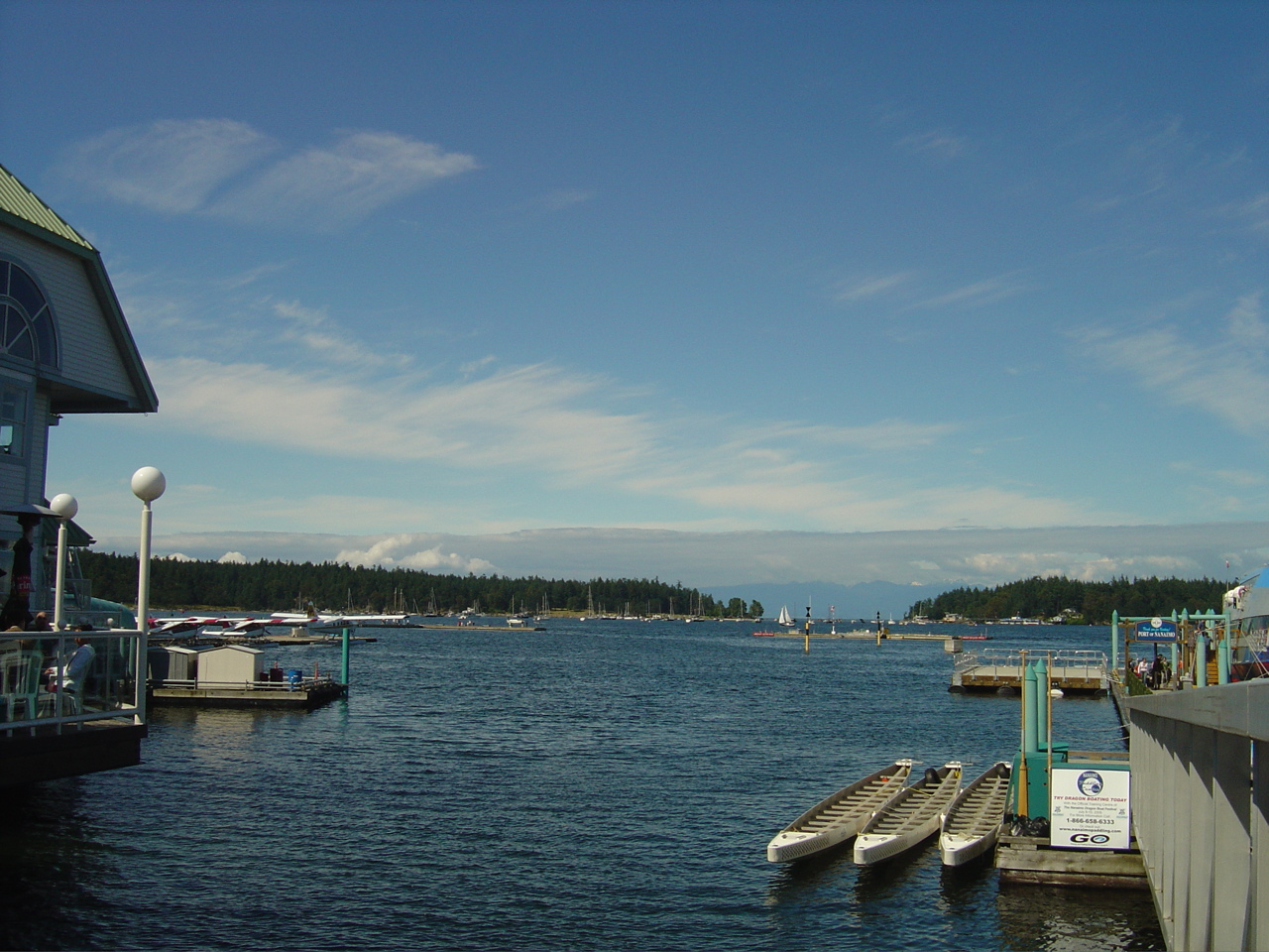 DSC00875.JPG