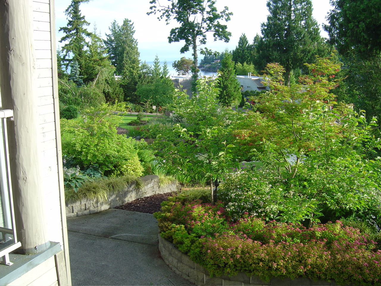 DSC00886.JPG