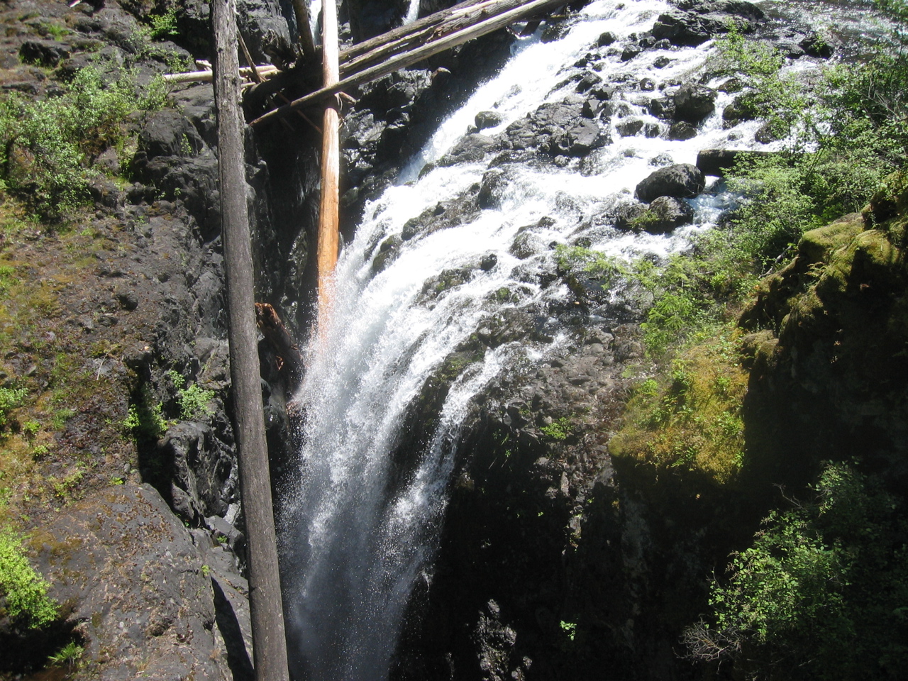 IMG_1798.JPG