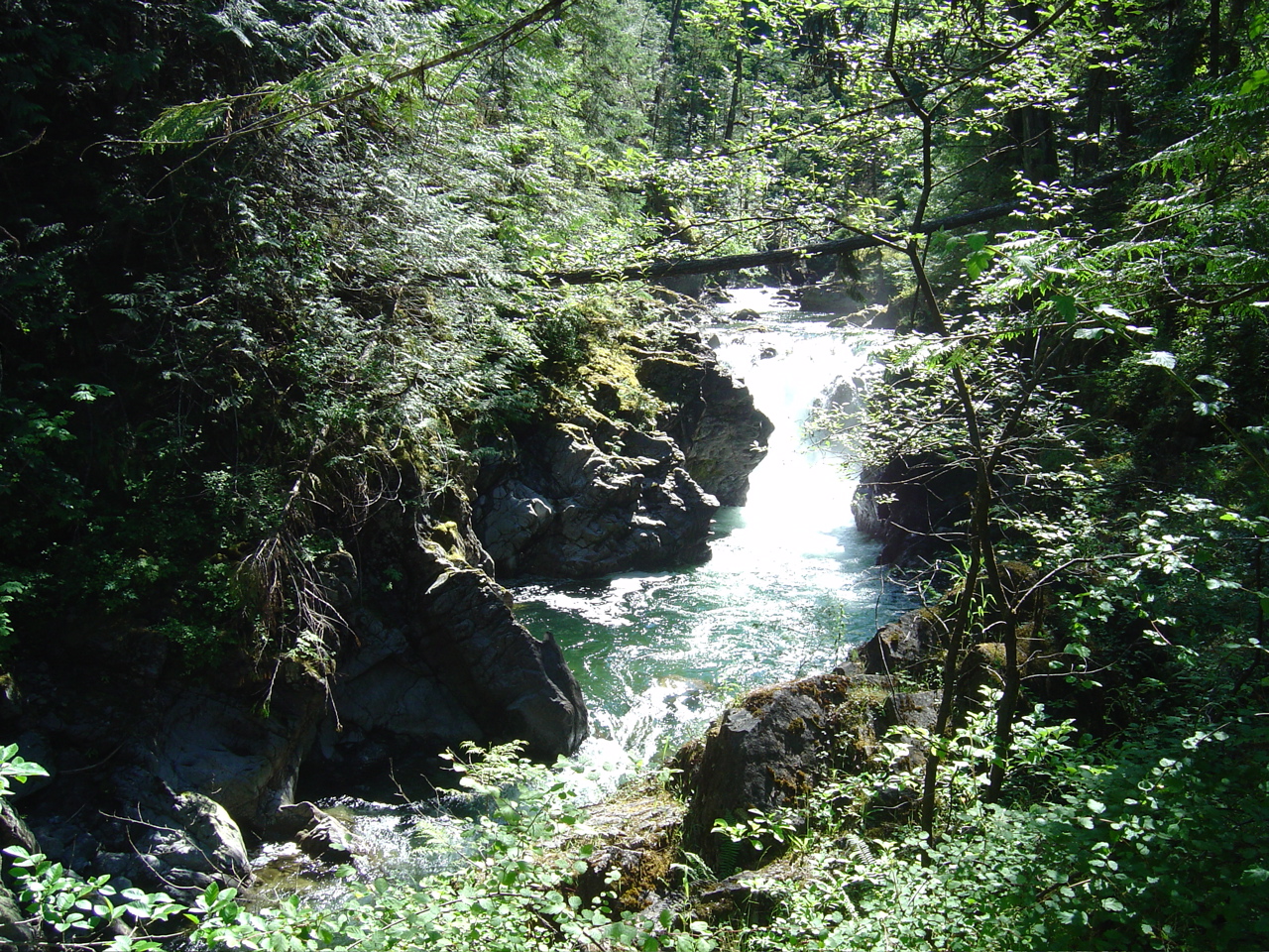 DSC00909.JPG