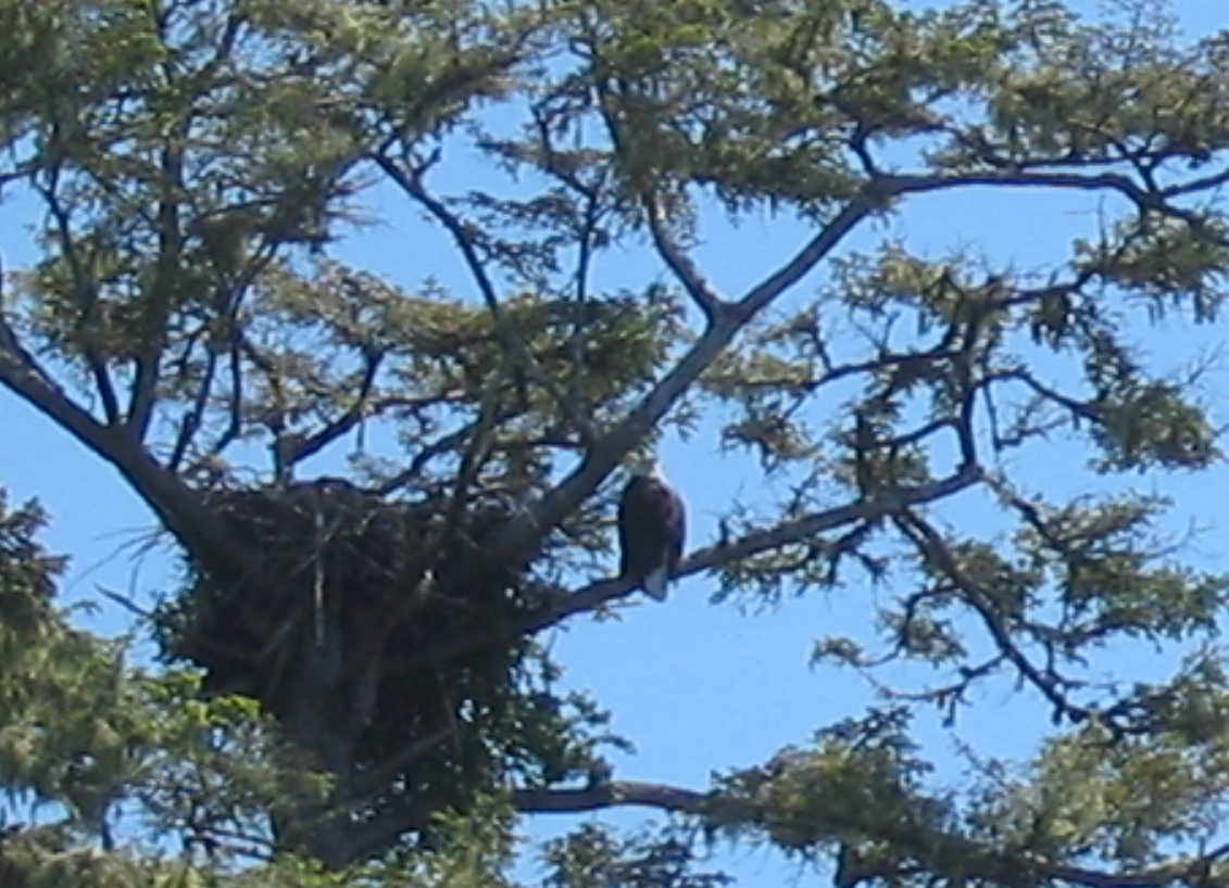 IMG_1746.JPG