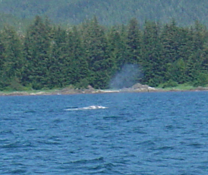 DSC00942.JPG