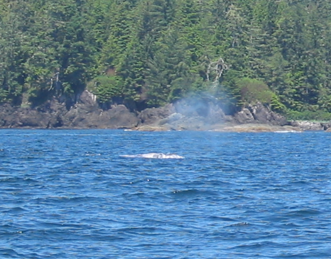 IMG_1749.JPG