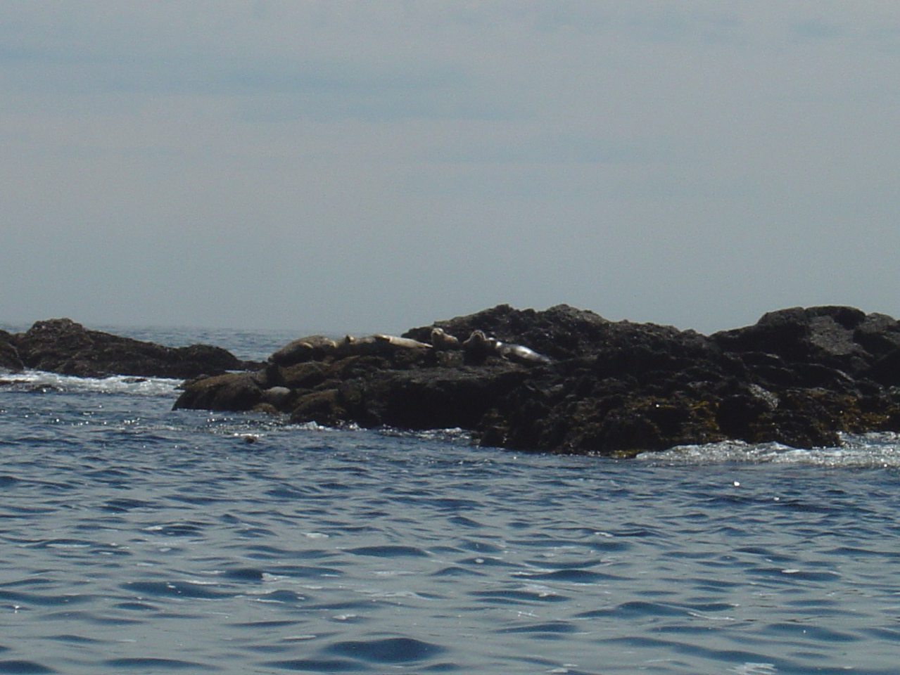 DSC00944.JPG