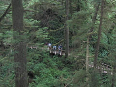 IMG_1771.JPG