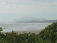 DSC00952.JPG