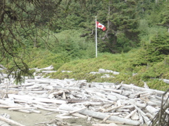 DSC00953.JPG