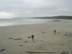 DSC00956.JPG