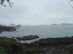 DSC00957.JPG