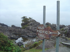 DSC00960.JPG