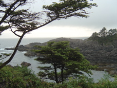 DSC00964.JPG