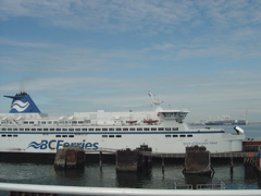 DSC00866.JPG
