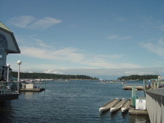 DSC00875.JPG
