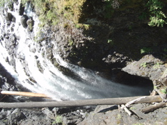 DSC00895.JPG