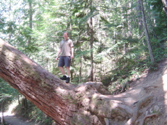 DSC00896.JPG