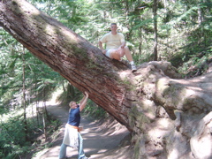 DSC00897.JPG