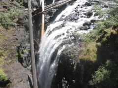 IMG_1798.JPG