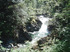 DSC00909.JPG