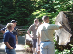 DSC00915.JPG