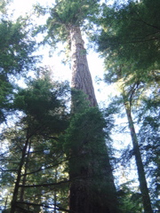 DSC00916.JPG