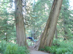 DSC00917.JPG