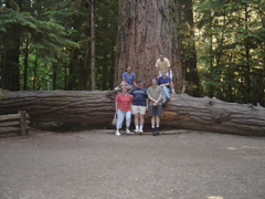 DSC00928.JPG