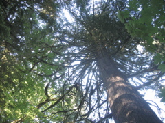IMG_1829.JPG