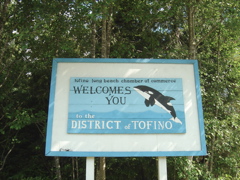 DSC00934.JPG