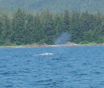 DSC00942.JPG