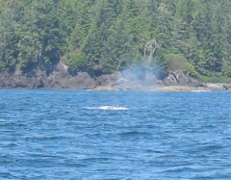 IMG_1749.JPG
