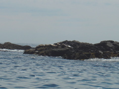 DSC00944.JPG