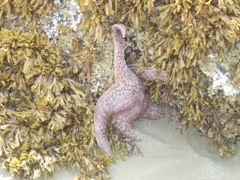 DSC00948.JPG